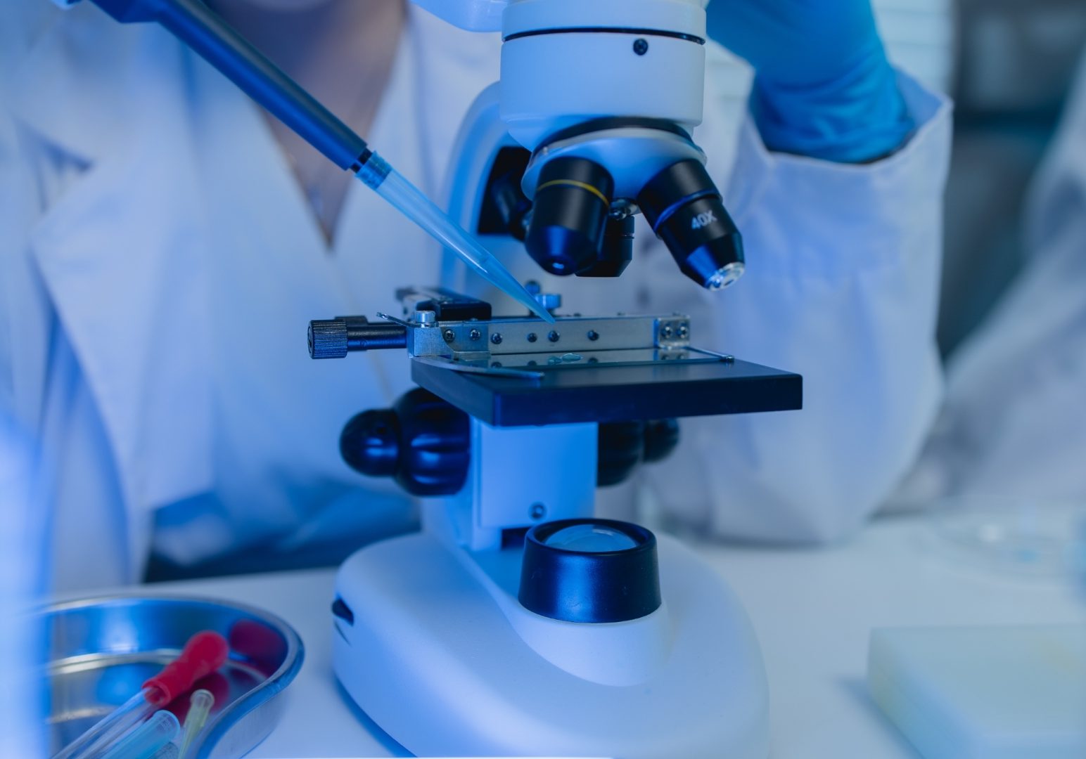 two scientists are working together to find a new antiviral drug, two chemists are using scientific tools to study science, microscope, working in the lab, researchers' work in the laboratory