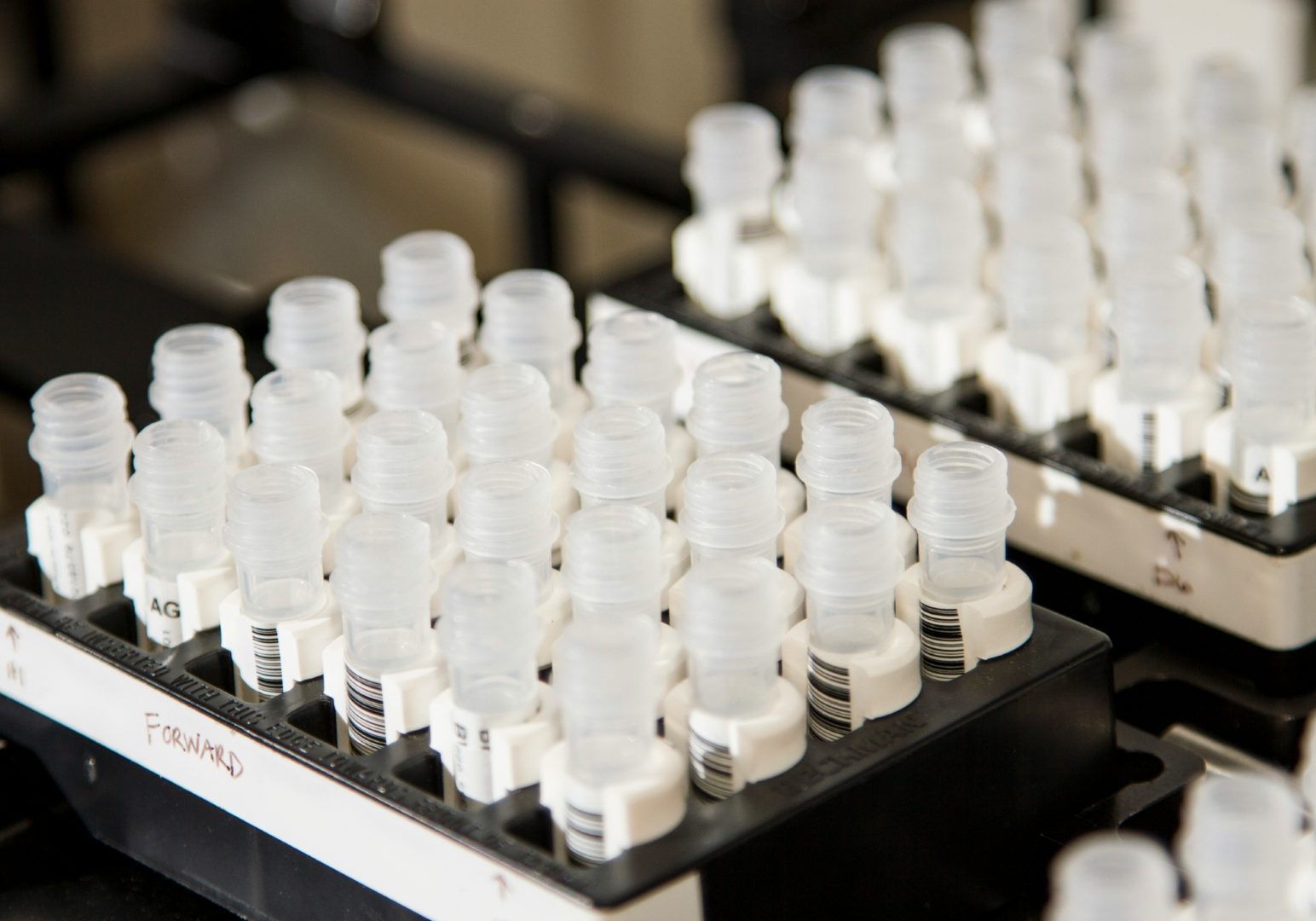 national-cancer-institute-HMQtSQZHPZU-unsplash 1